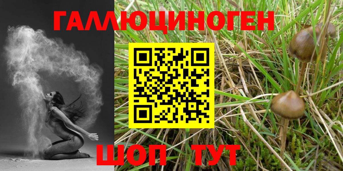 Коряжма  Галлюциногенные грибы мицелий  Вход с VPN 