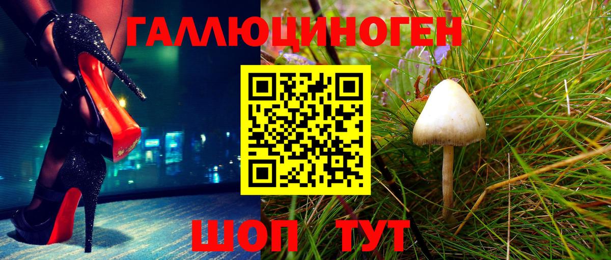 Псилоцибиновые грибы ЛСД Коряжма